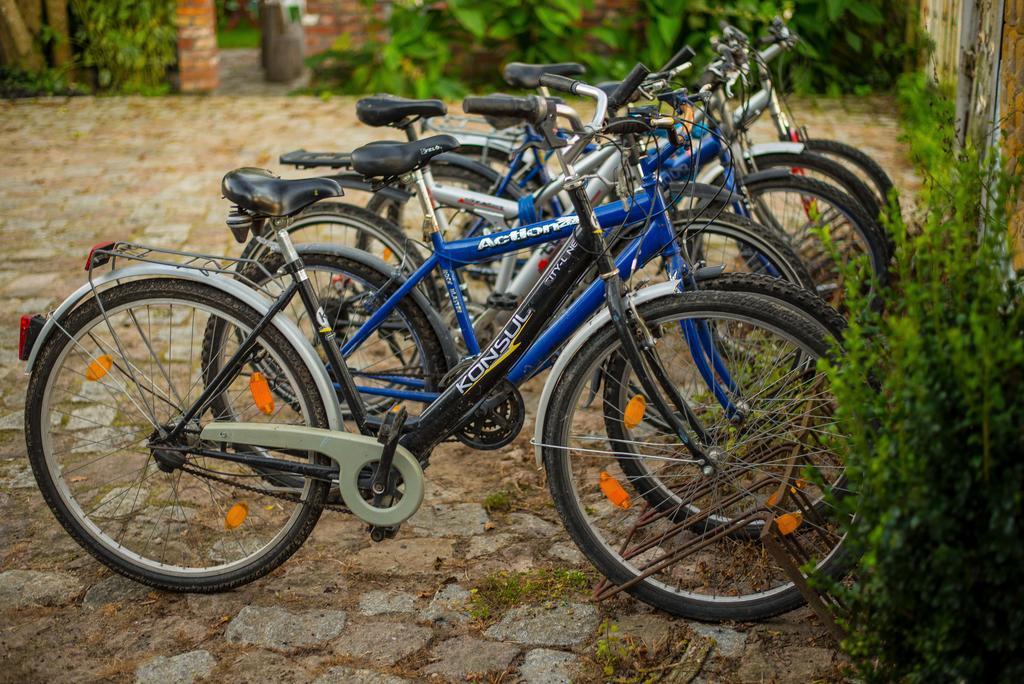Agroturystyka Nowy Krakow Jezyce Ngoại thất bức ảnh